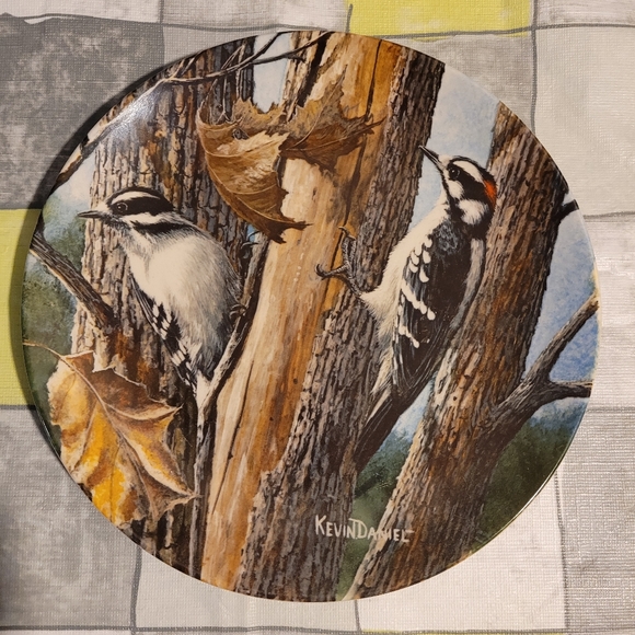 Collection Plates - Picture 3 of 6